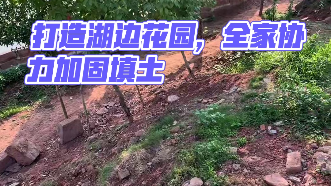 重生之我在乡下打造湖边全过程。#我的乡村生活 #荒野建造 #野外建造