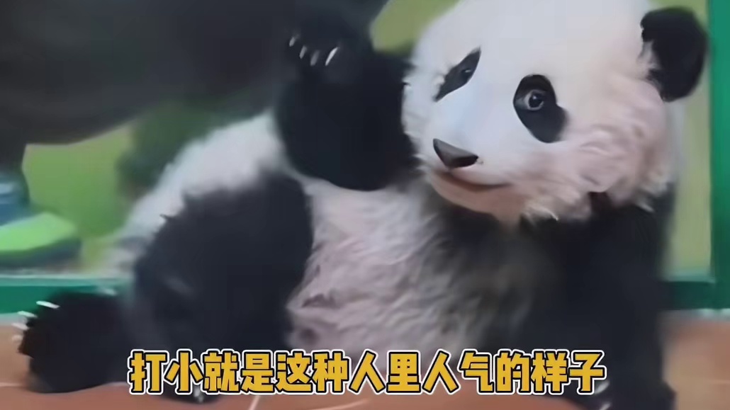 就妹猪这聪明样，真的很难不怀疑啊