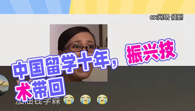 德国留学十年，中国已经振兴了