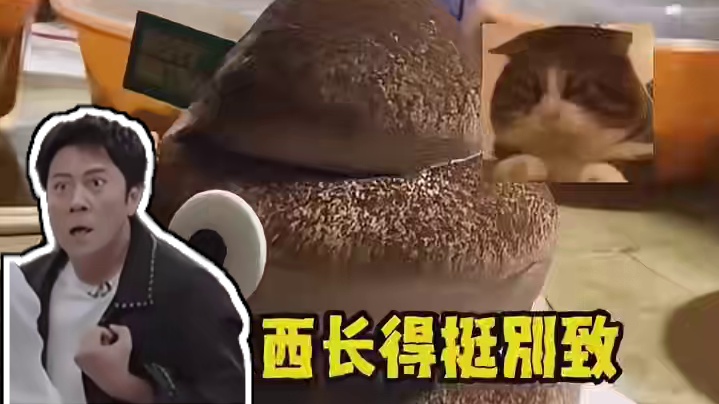 为什么她过生日，开心的是我啊哈哈哈