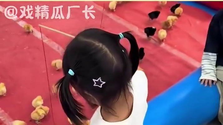 第一次从一只孔雀看出慌乱#动物园 #万万没想到 #孔雀 #萌娃