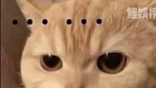 狗子以为自己会摔死，再以为会吊死。结果差点被电死，忽然感觉要被砍死，结果被自己吓死。#二哈#搞笑