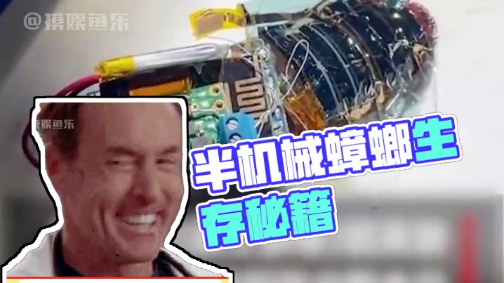 答应我一定要去广东进货好吗！ #蟑螂 #万万没想到 #半机械蟑螂