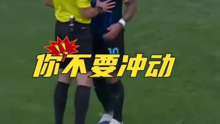 塔罗，给你一点来自家乡的温暖