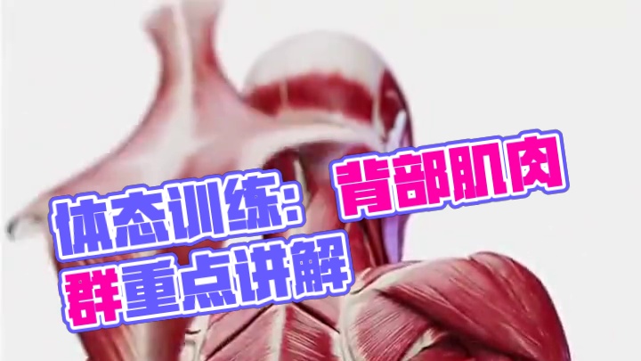 体适能训练基础知识：体态训练很简单？ 体适能训练基础知识：体态训练很简单？
#体态纠正 #体态训练 