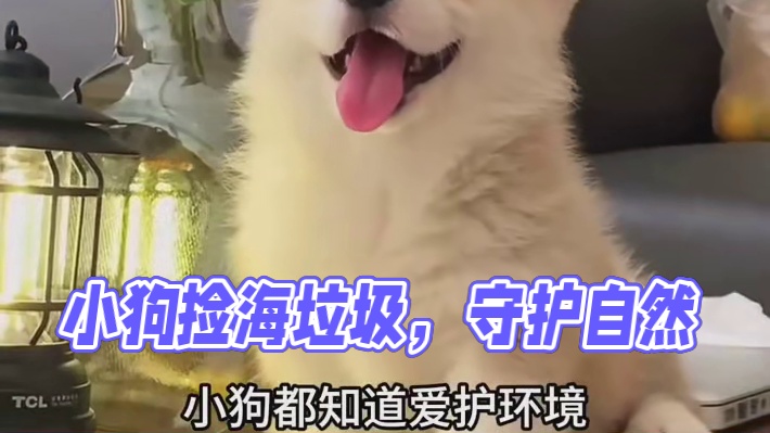 这个世界不能没有小狗