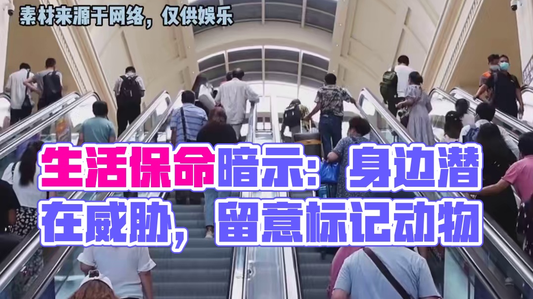 生活中的保命小暗示