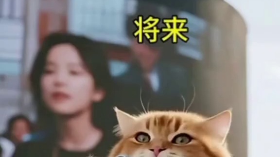 门门功课不及格，门门解释的合情合理
