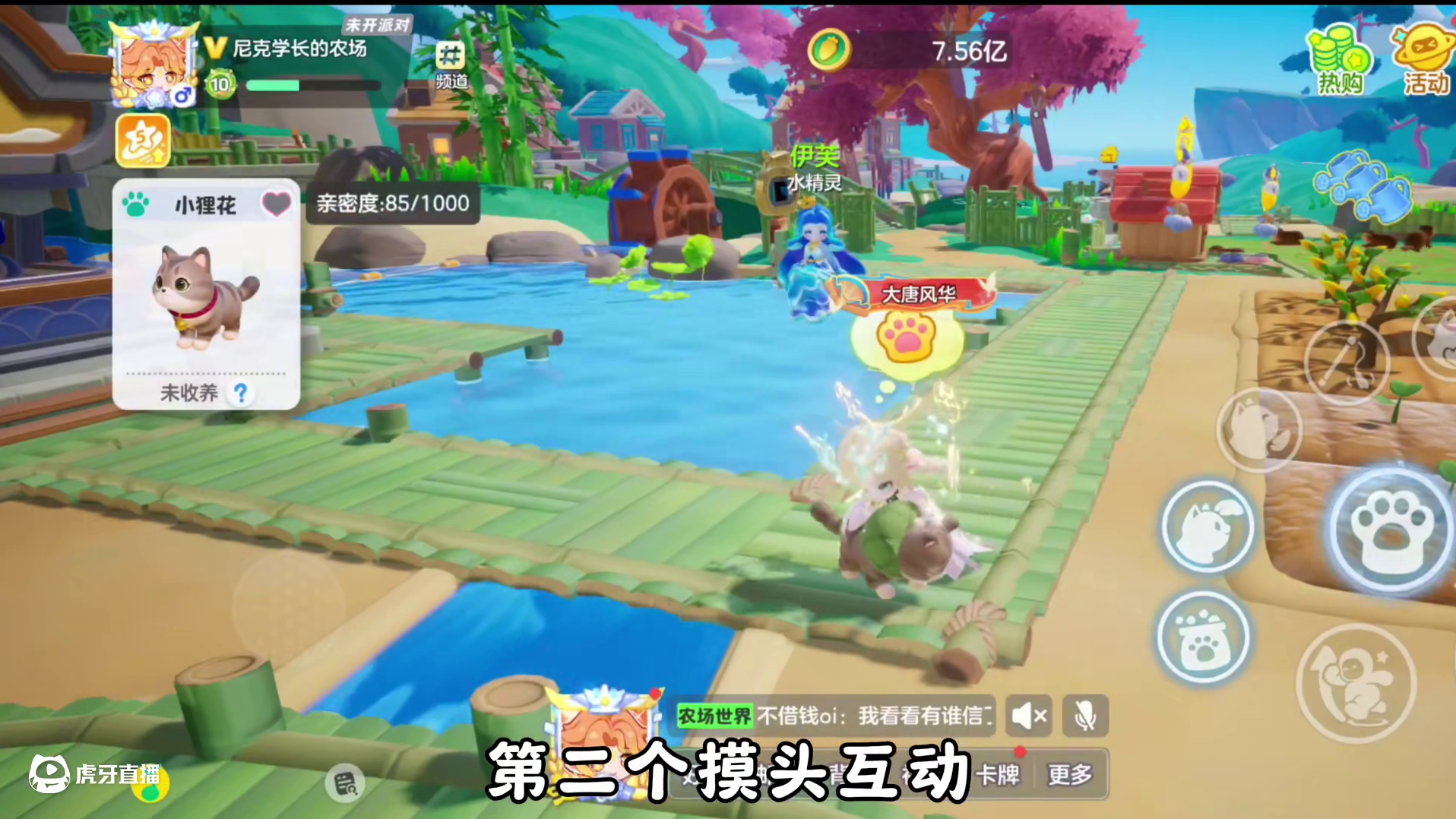 收养猫咪前你一定要知道的4个知识点 元梦之星 #元梦顶流ip快闪季 #元梦之星昆仑秘境赛季  #闺蜜