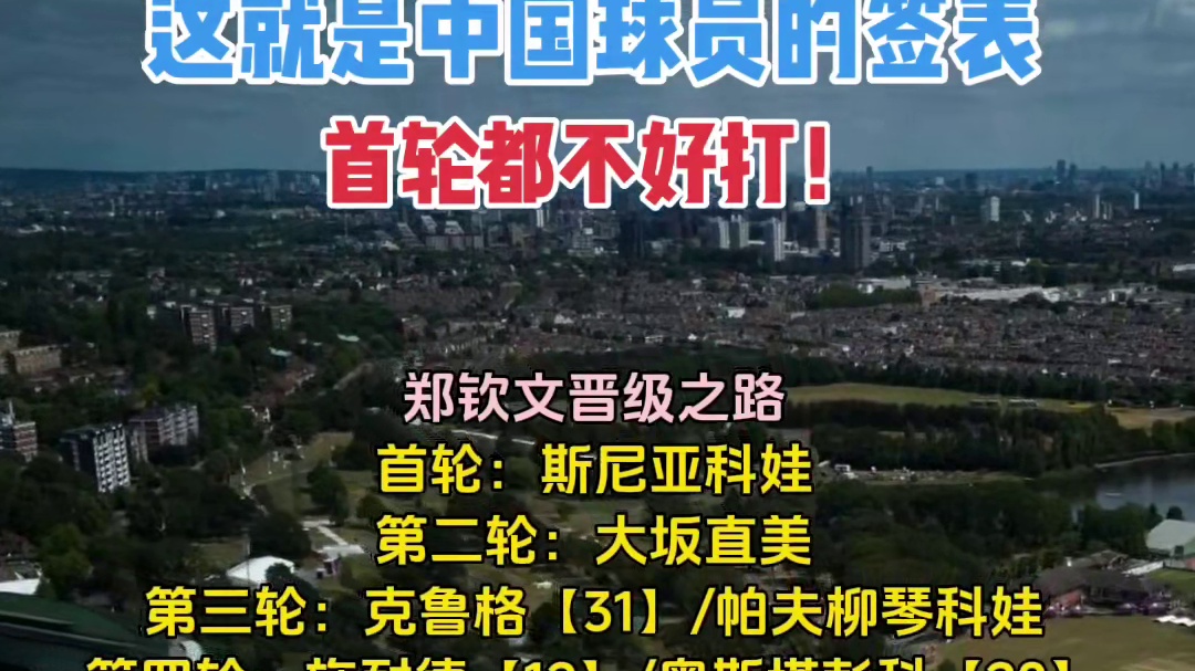 中国球员温网签表出炉，首轮都不好打！ #网球 #郑钦文