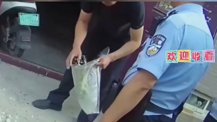 我发布了一个新视频，快来围观吧！