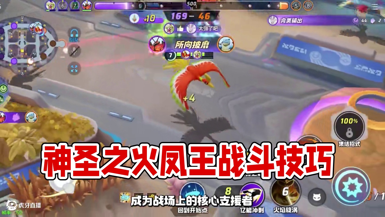 进阶攻略 | 神圣之火凤王！进阶攻略来咯！ #宝可梦大集结  #宝可梦  #凤王