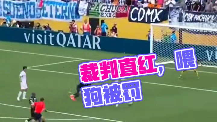 被裁判直红罚下