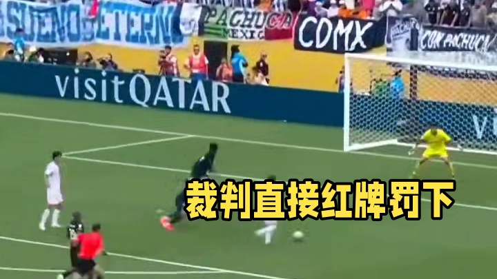 被裁判直红罚下