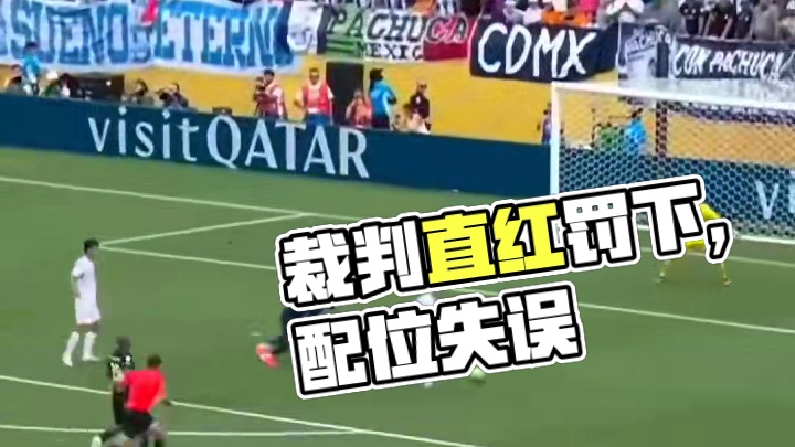 被裁判直红罚下