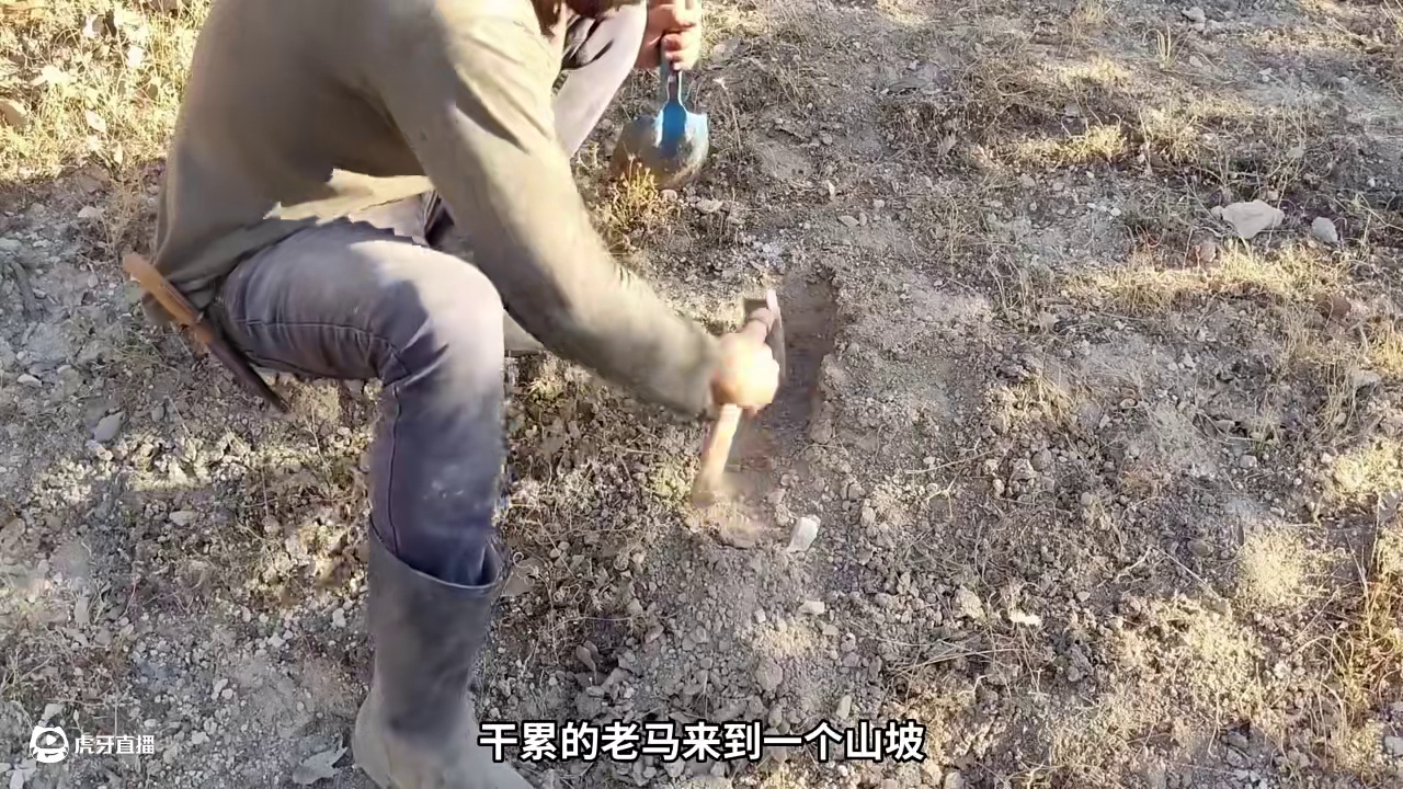 第1集：一把火就烧出一个庇护所，这也太简单了