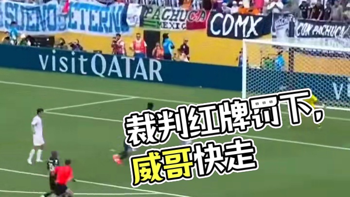 被裁判直红罚下