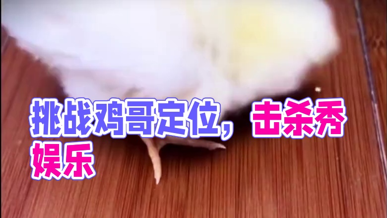 来让你那玩CO的朋友挑战一下鸡哥的定位与准度 #使命召唤手游 #射击游戏 #击杀秀 #娱乐 #整活