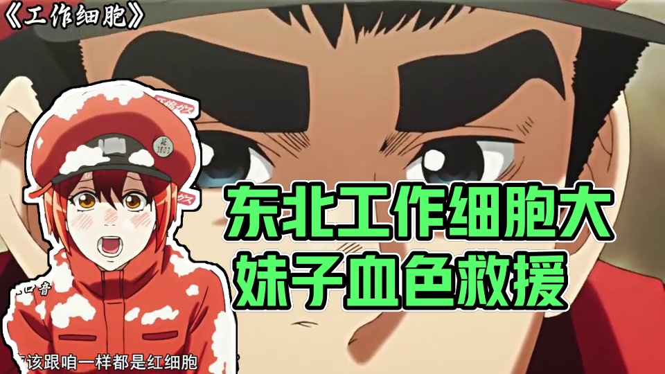 东北人的热情真是天生的 #工作细胞 #动漫推荐