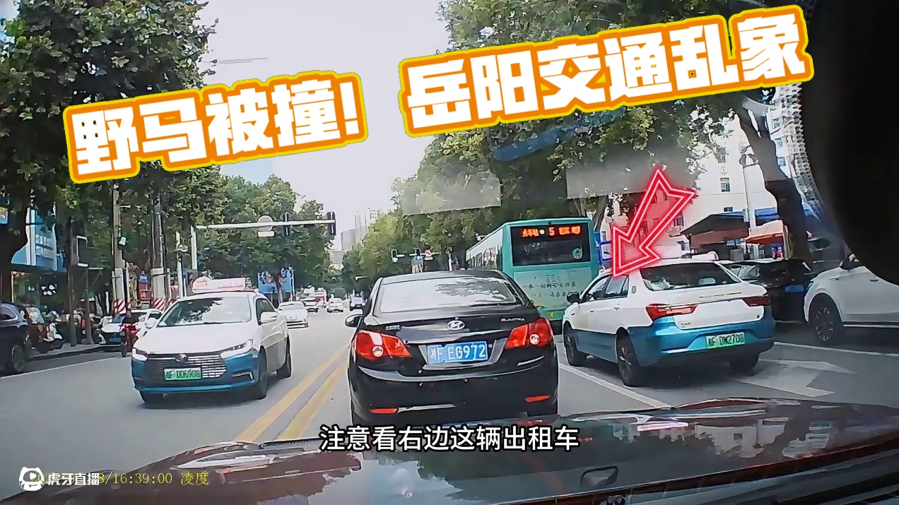 我的野马被撞了！湖南·岳阳【交通环境】 #岳阳#岳阳同城#极品飞车集结 #新版本热湾钓鱼王