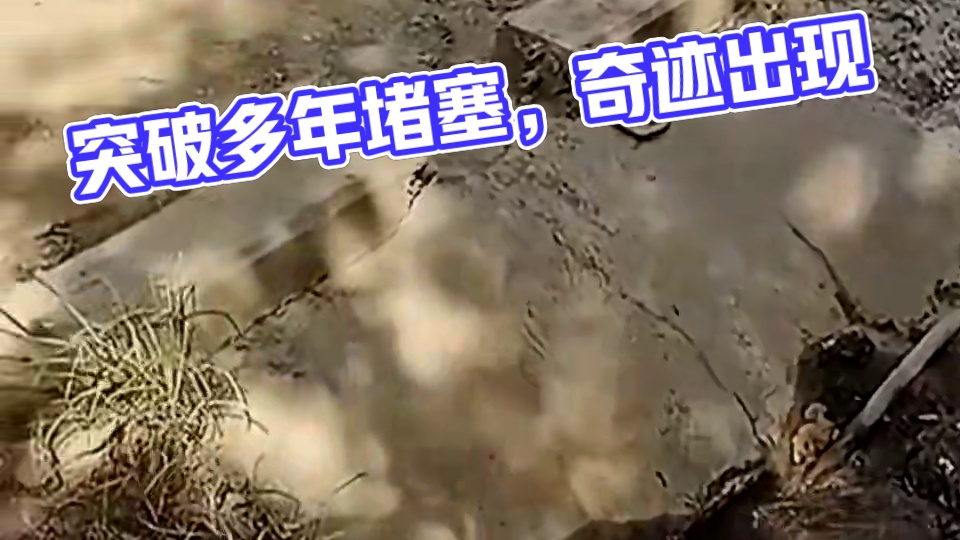 这是堵了多少年了