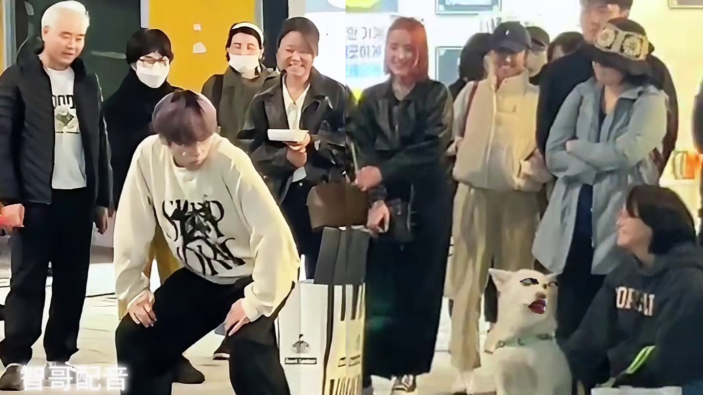 狗：一开始只是看着有点der，后面怎么还越来越狗了呢！