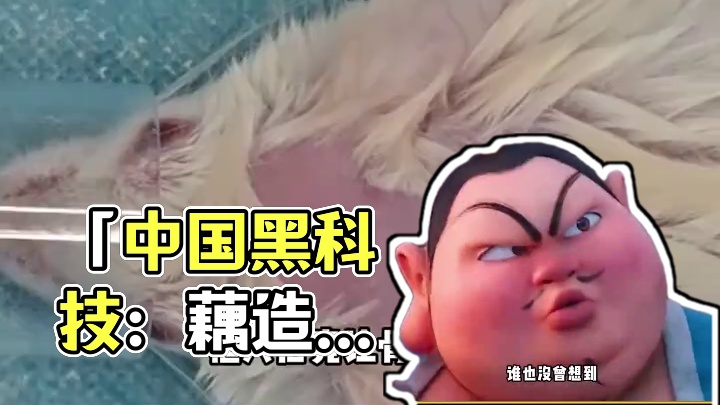用“藕”造骨：哪吒成真，中国黑科技居然用藕粉塑肉身 #哪吒 #藕 #黑科技 #健康 #社会百态