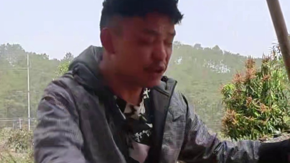 爆炒鱼肚！香脆可口  这应该是鱼最好吃的地方了 #家常菜#农村美食 #农村美食 #舌尖上的美食 #乡