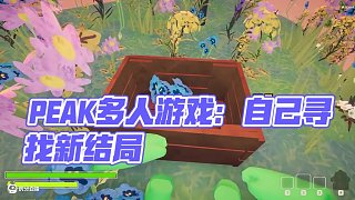 PEAK隱藏結(jié)局：既然沒有飛機(jī)來接我們，我們就自己去找！ #楚河 #PEAK #steam游戲 #多