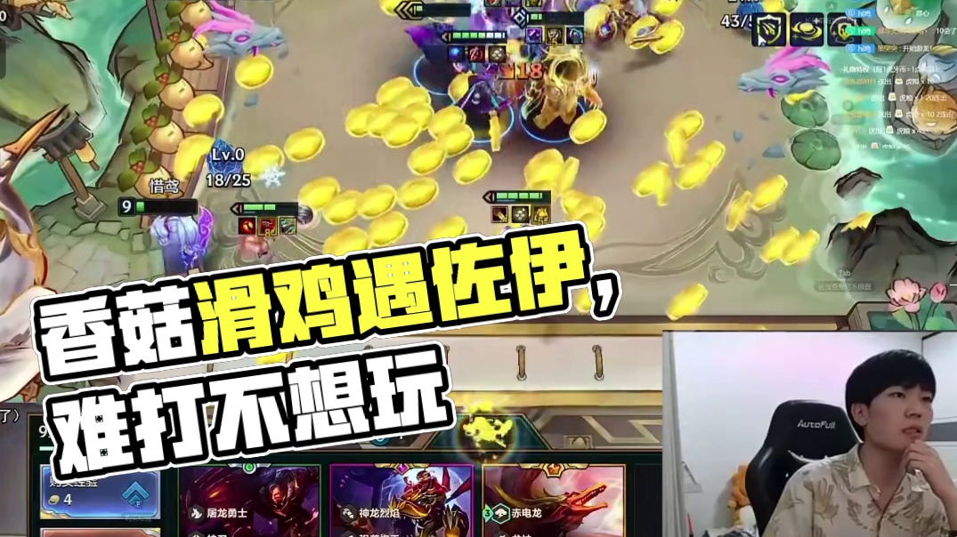 香菇滑鸡：佐伊在哪里？！