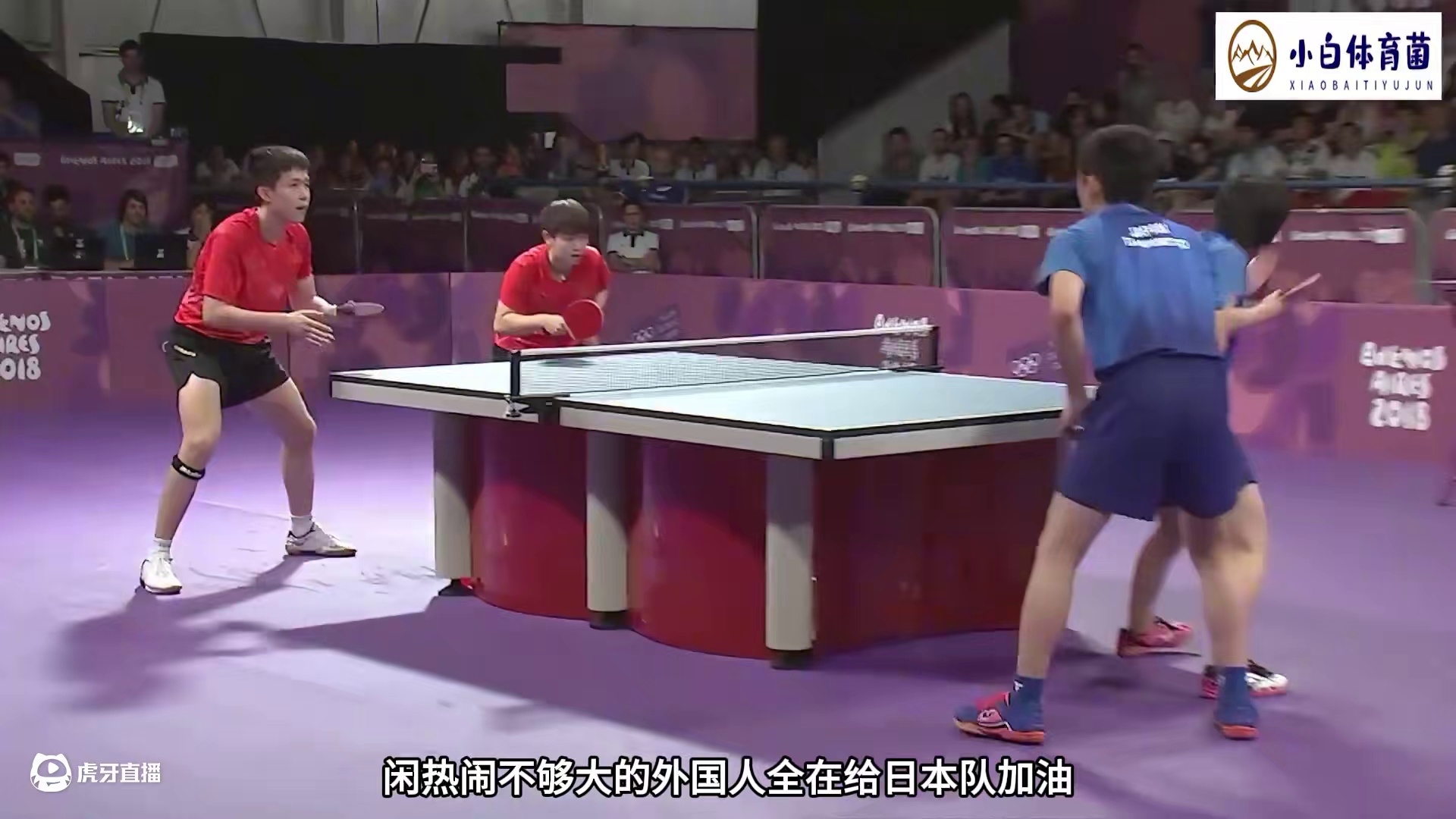 面对裁判的故意误判➕观众恶意起哄，孙颖莎和王楚钦彻底被激怒！ #王楚钦 #孙颖莎 #乒乓球 #莎头组