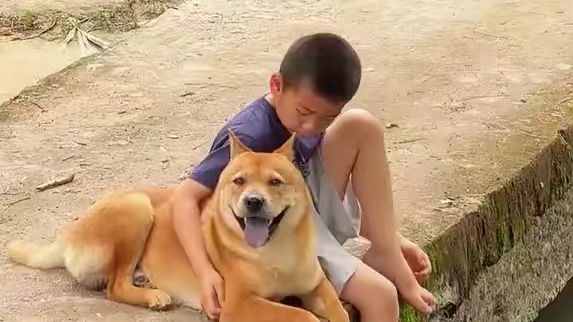 你可以永远相信中华田园犬的教养 #中华田园犬  #教养  #祖宗严选 #万万没想到