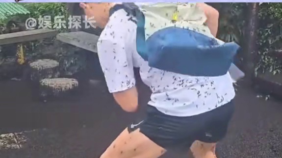 我的首尔病好了 #韩国  #虫子  #离谱  #炸裂