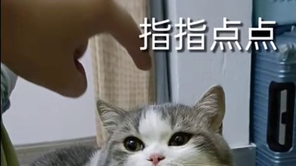 高考第二名才是最爽的#2025高考  #第二名