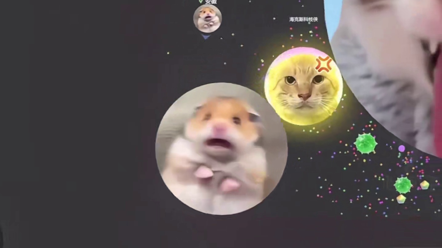 鼠鼠也有霸屏梦~#球球大作战 #球球大作战小游戏#球球霸屏挑战#球球大作战VR