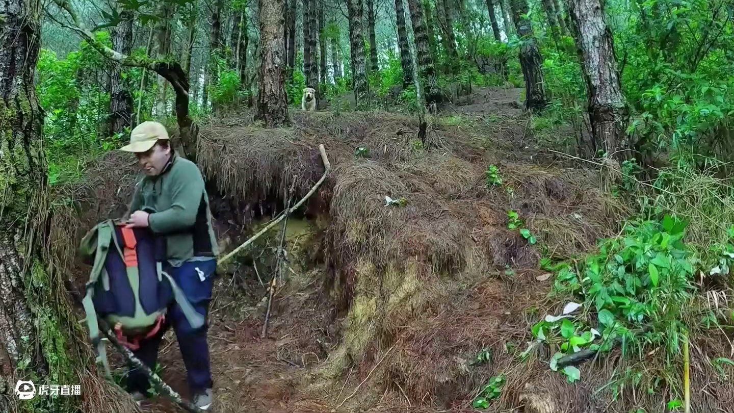 这才是正在的野外生存，森林里暴雨连连犹如一场音乐会 #荒野建造 #野外生存 #木屋建造 #户外