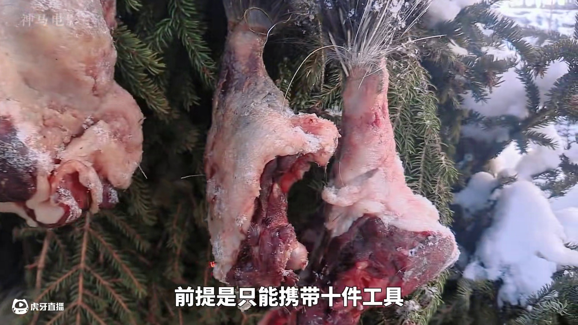荒野独居第七季第二集详解 萝兰采集浆果柳兰根建造石头屋，马克一网抓到四条鱼，科里摔伤膝盖遗憾退赛#荒