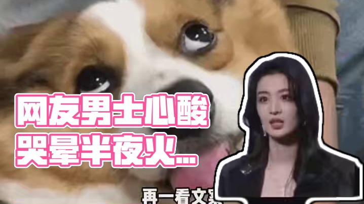 第一次觉得恶毒难听的话，变得如此动听，网友们会说就多说点