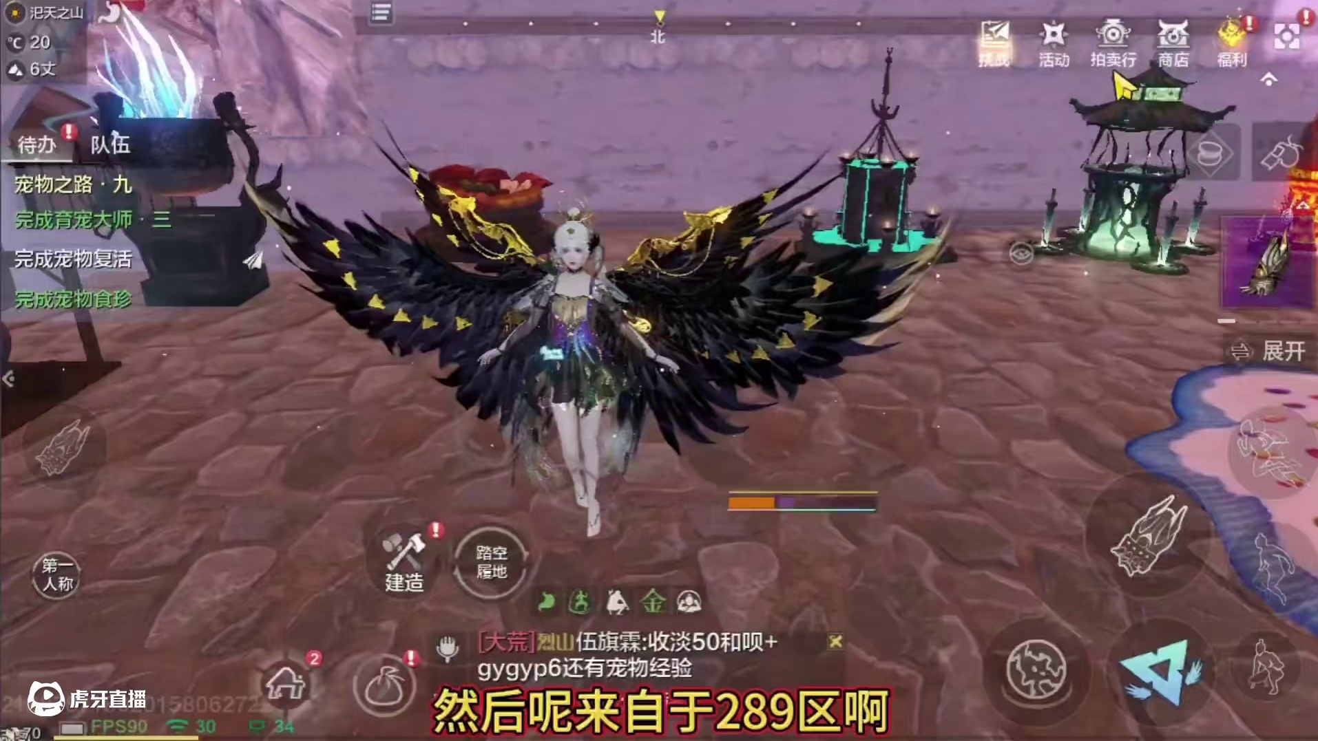 3个月新区榜一 全7元素 神兽祸斗 实战兵魂词条 单甲猴子 侍从 2情绪 最新大翅膀时装#妄想山海 