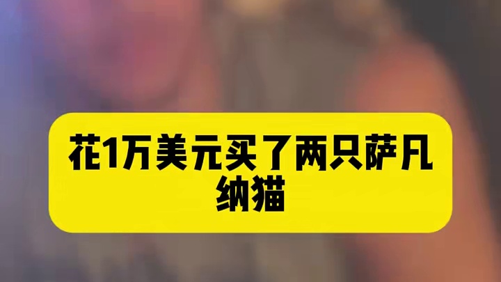 nba球员购买的最奇怪的东西