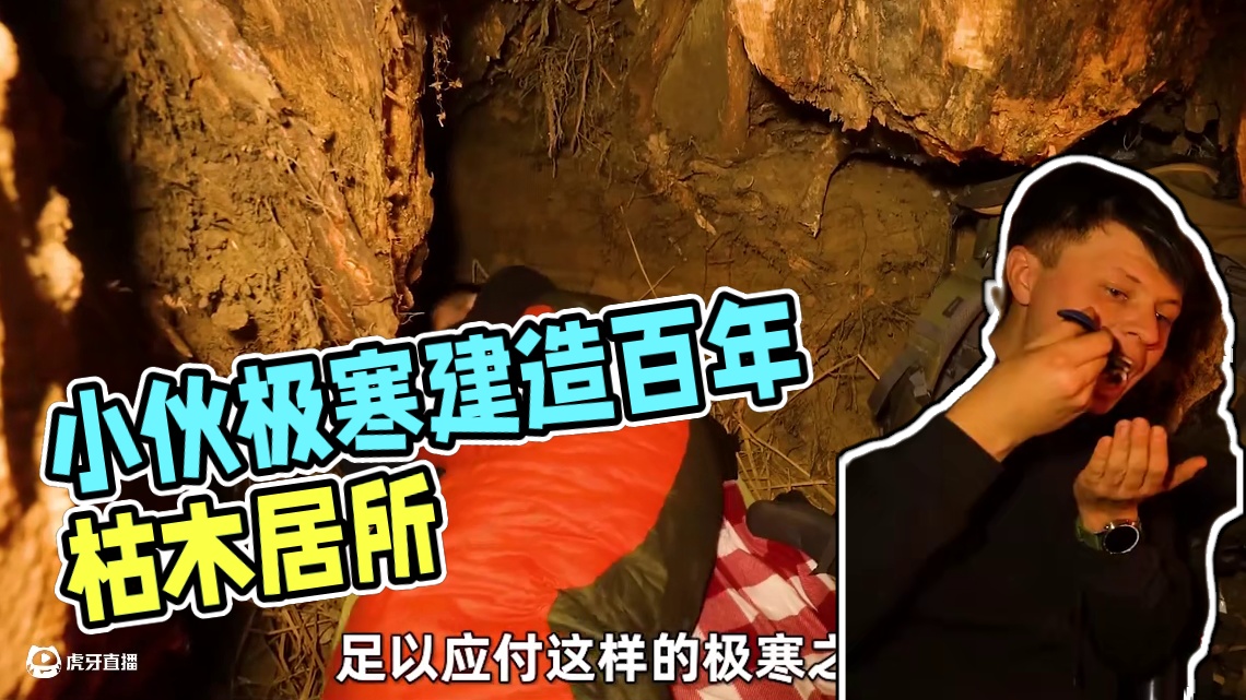 小伙沉浸式枯木露营 #野外建造 #荒野生存 #户外探险