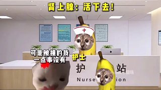 腎上腺：來吧！最后一舞！