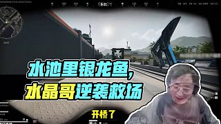 夫妻本是同林鳥，水池里面銀龍魚#水晶哥 #kryst4l水晶哥