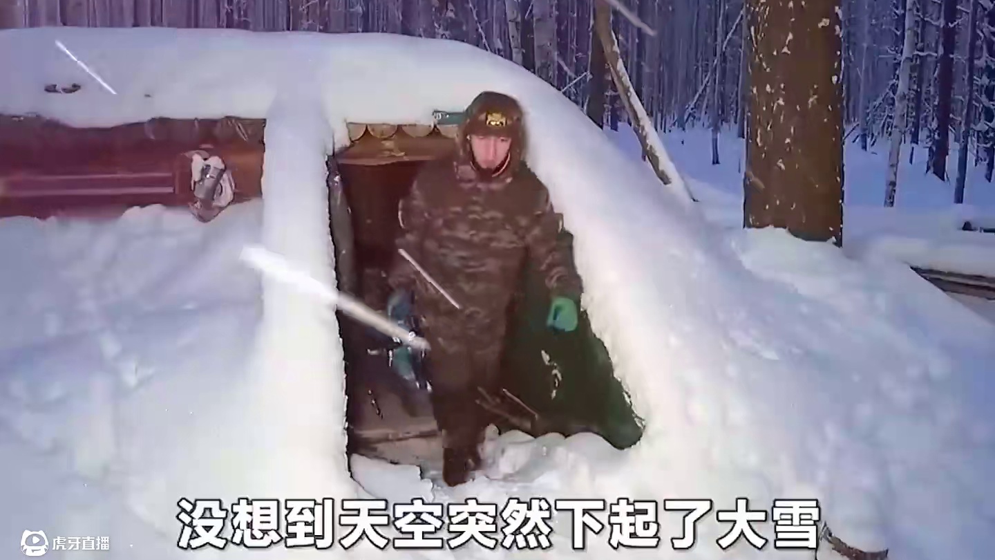 阿懂挖出地下庇护所，在野外温暖的度过一整年 #野外建造 #荒野建造 #解压