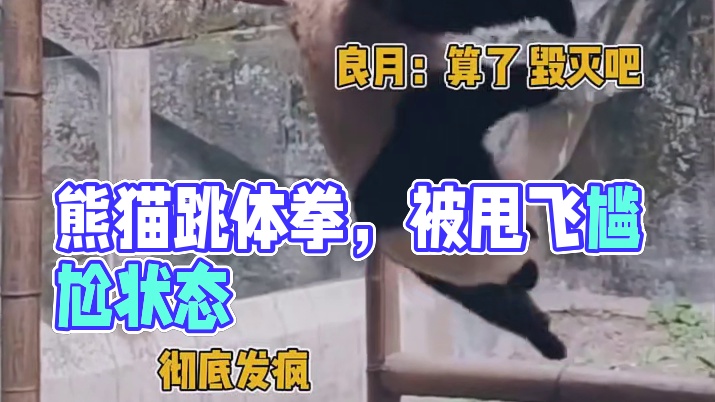 真的很好奇最后拿到冰箱了吗