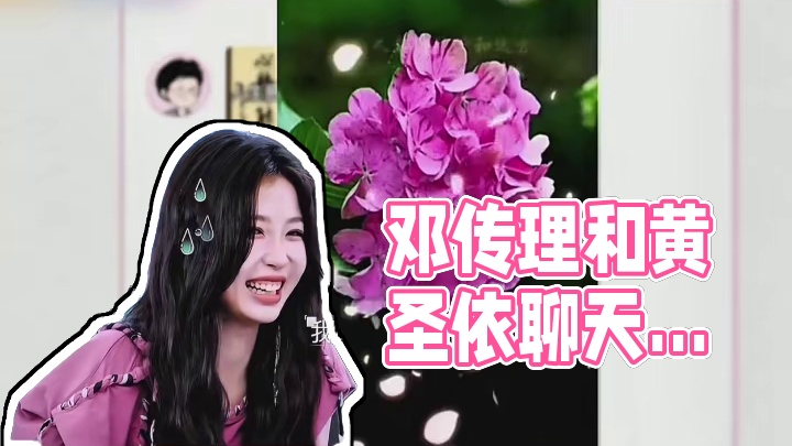 邓传理和黄圣依聊天记录惊呆众人