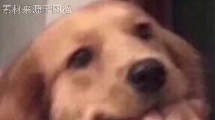 急需一个广西的朋友啊！#广西水果自由  #便宜  #广西