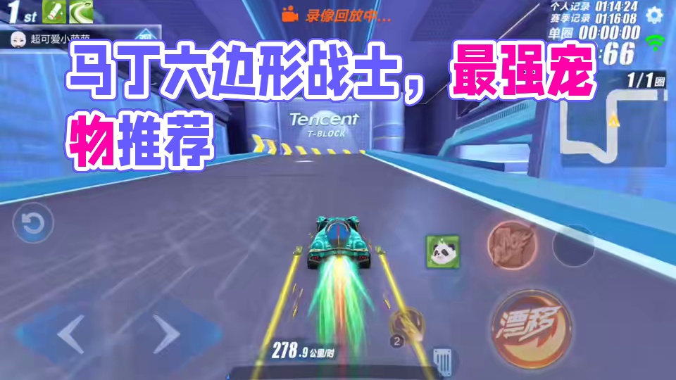 马丁究竟有多强？ 适合什么宠物？