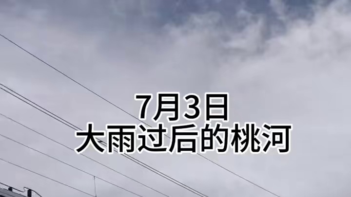 大雨过后，桃河都是泥汤汤 