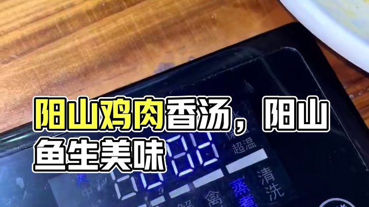 佛山吃阳山桑拿鸡，阳山鱼生，阳山青头鸭的地方，肉香汤好喝 #阳山鸡 #广东美食 #人间烟火 #舌尖上